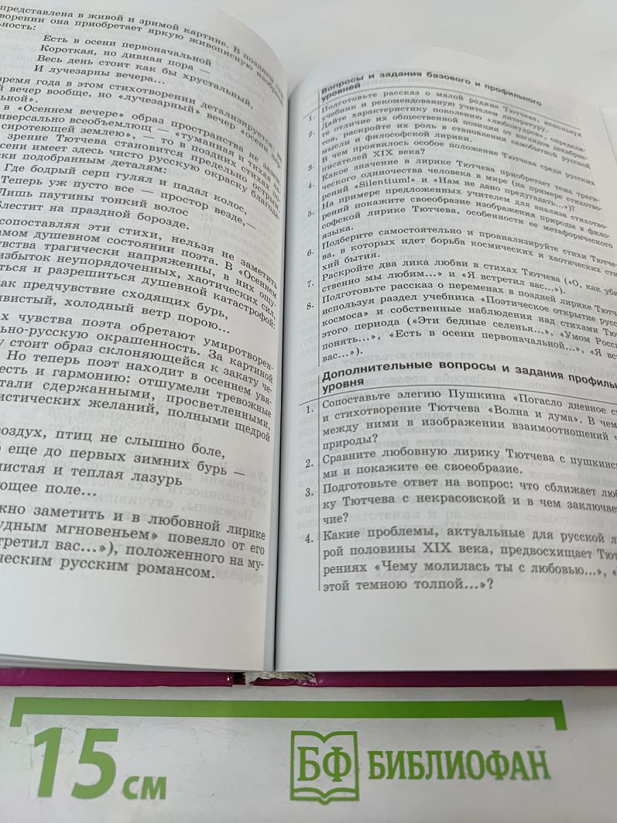 Литература. 10 класс. Часть 2