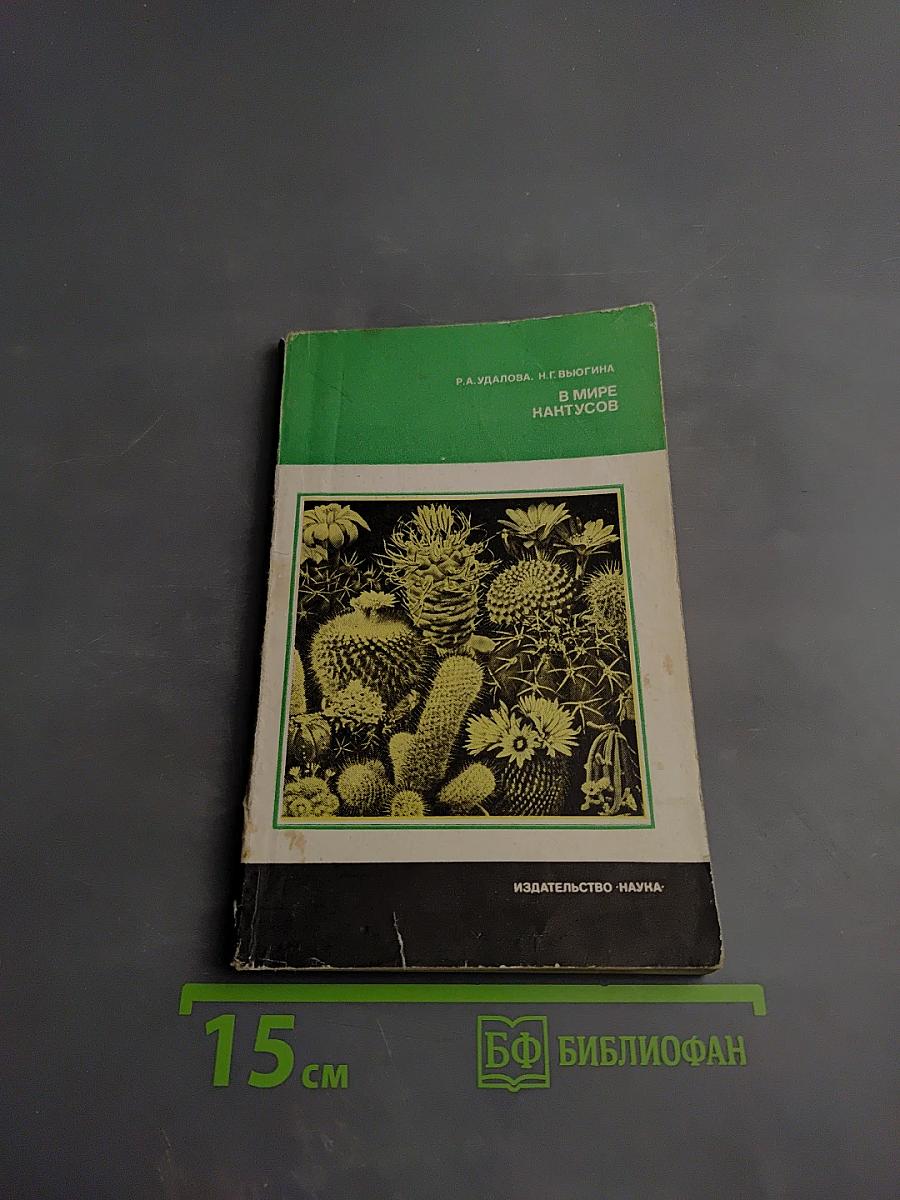 В мире кактусов