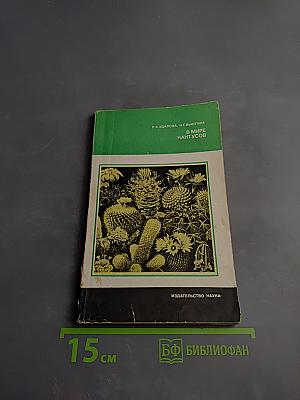 В мире кактусов