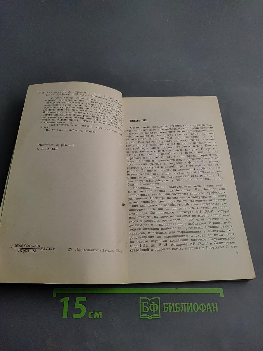 В мире кактусов