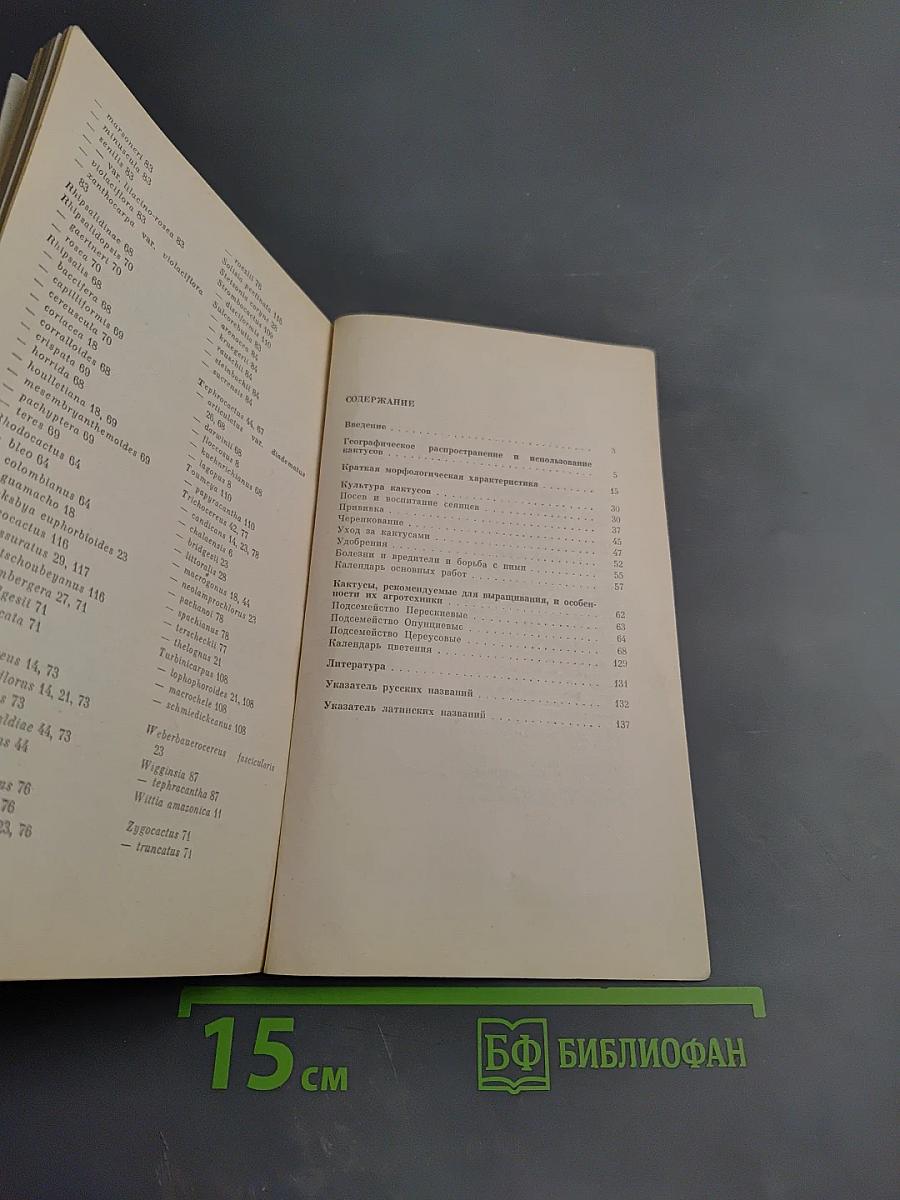 В мире кактусов