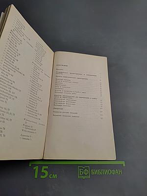 В мире кактусов