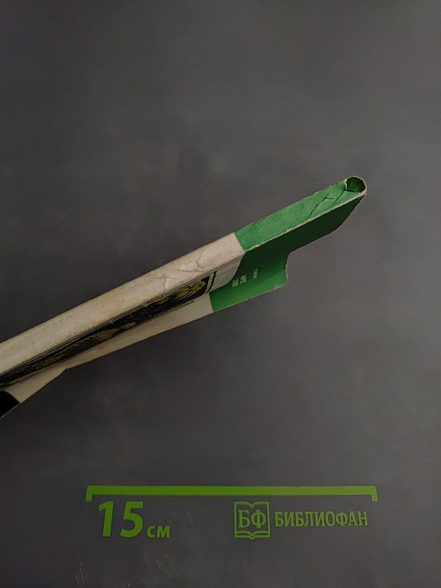 В мире кактусов