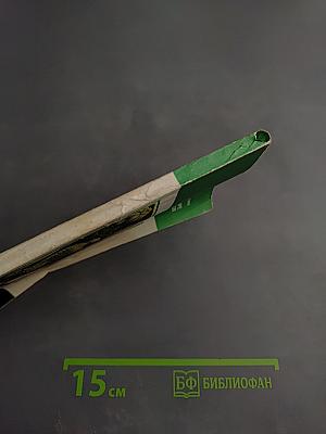 В мире кактусов