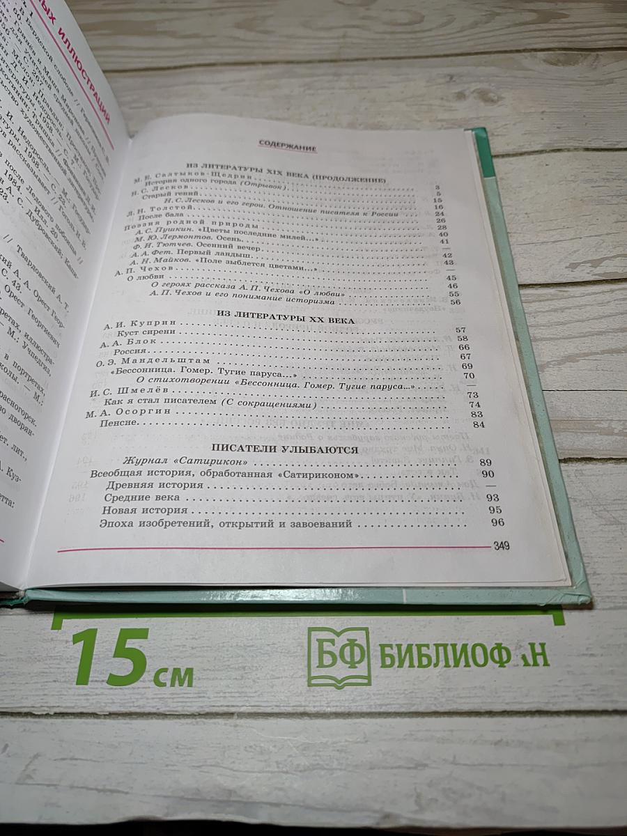 Литература 8 класс, Часть 2