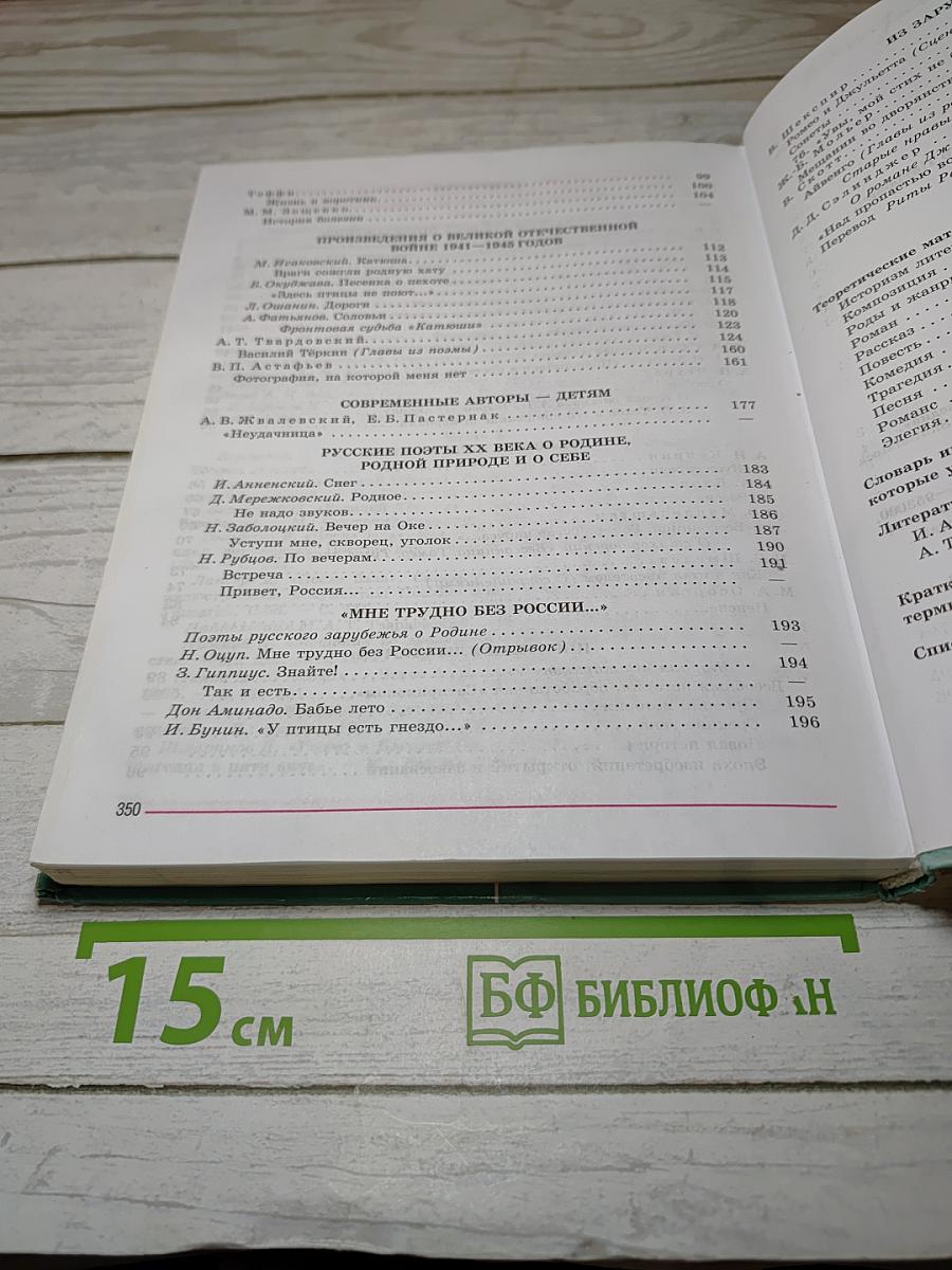 Литература 8 класс, Часть 2