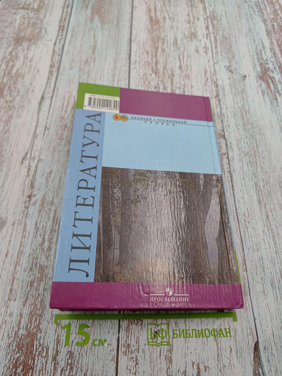 Литература 10 класс. Часть 1