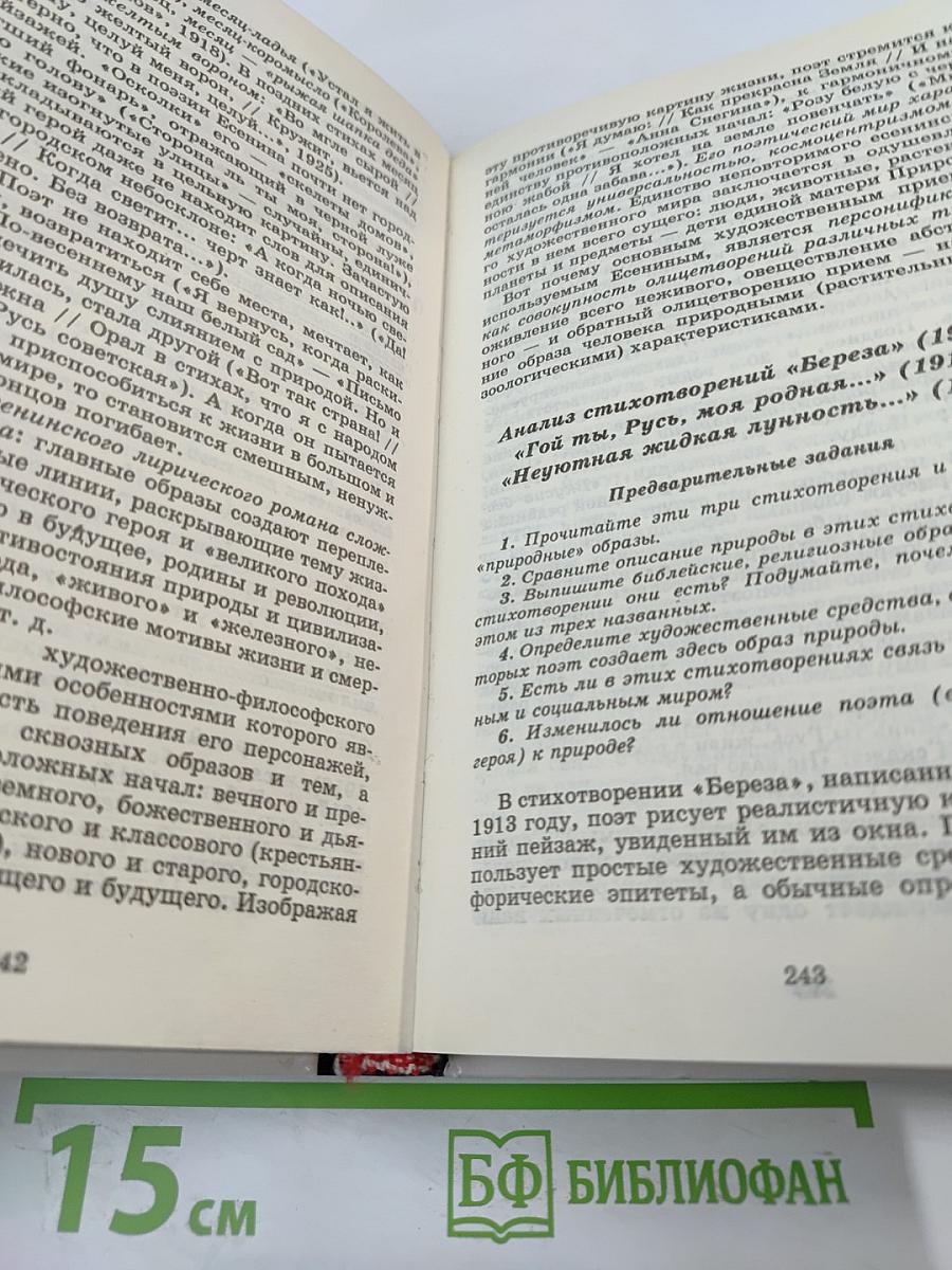 Русская литература XX века. 11 класс. Часть 1