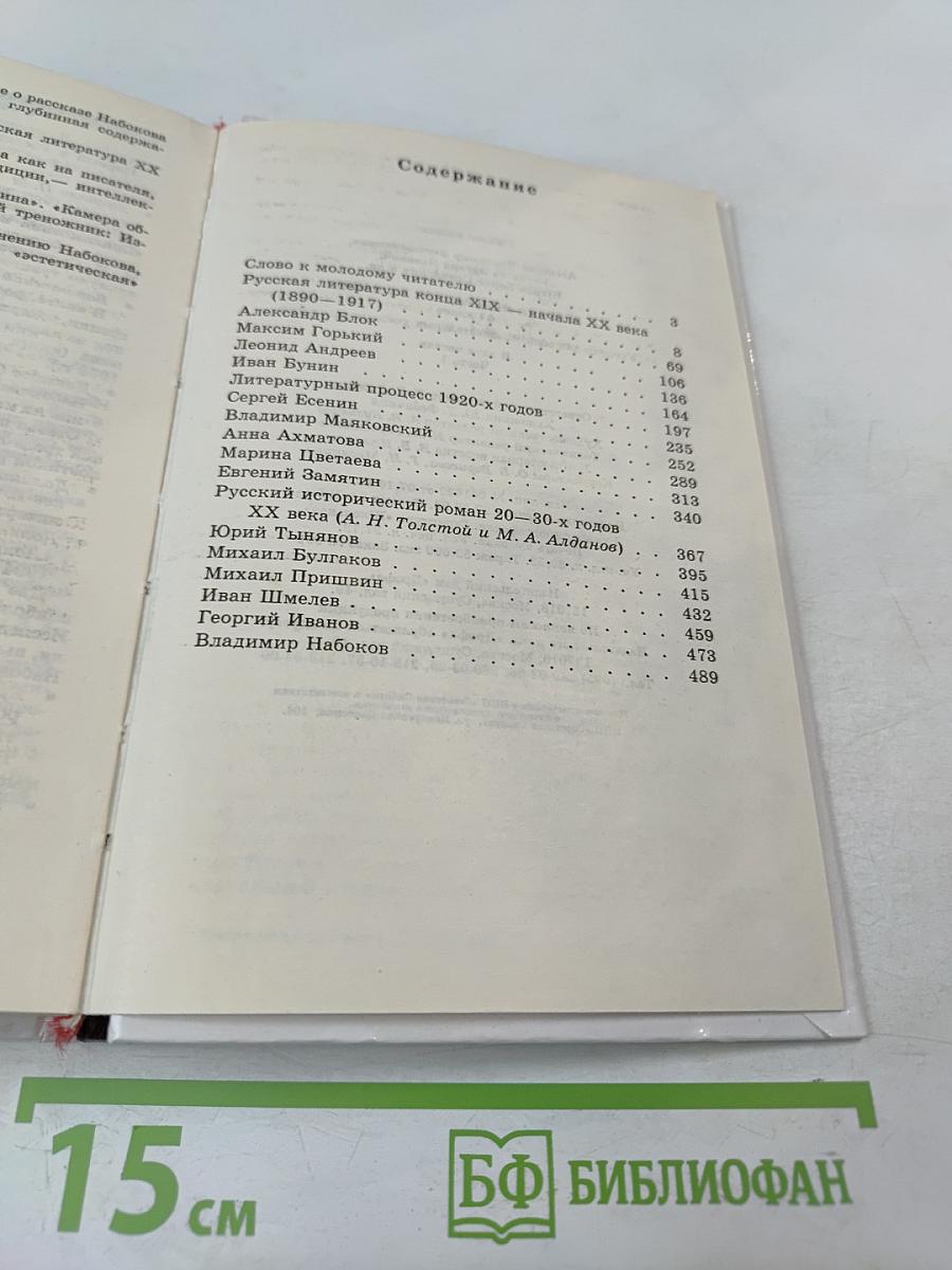 Русская литература XX века. 11 класс. Часть 1