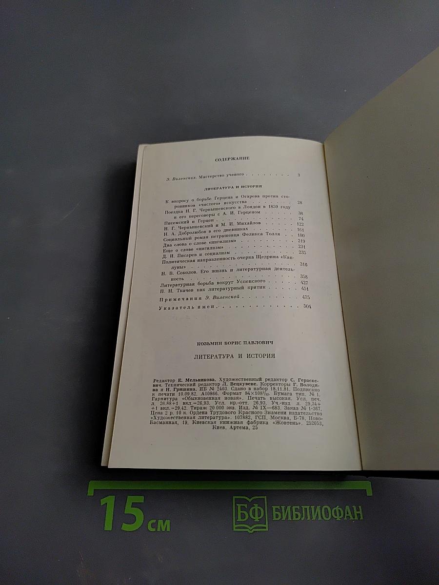 Литература и история