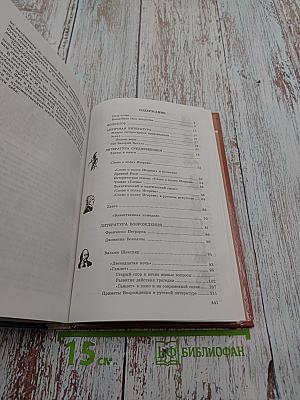 Литература. 9 класс