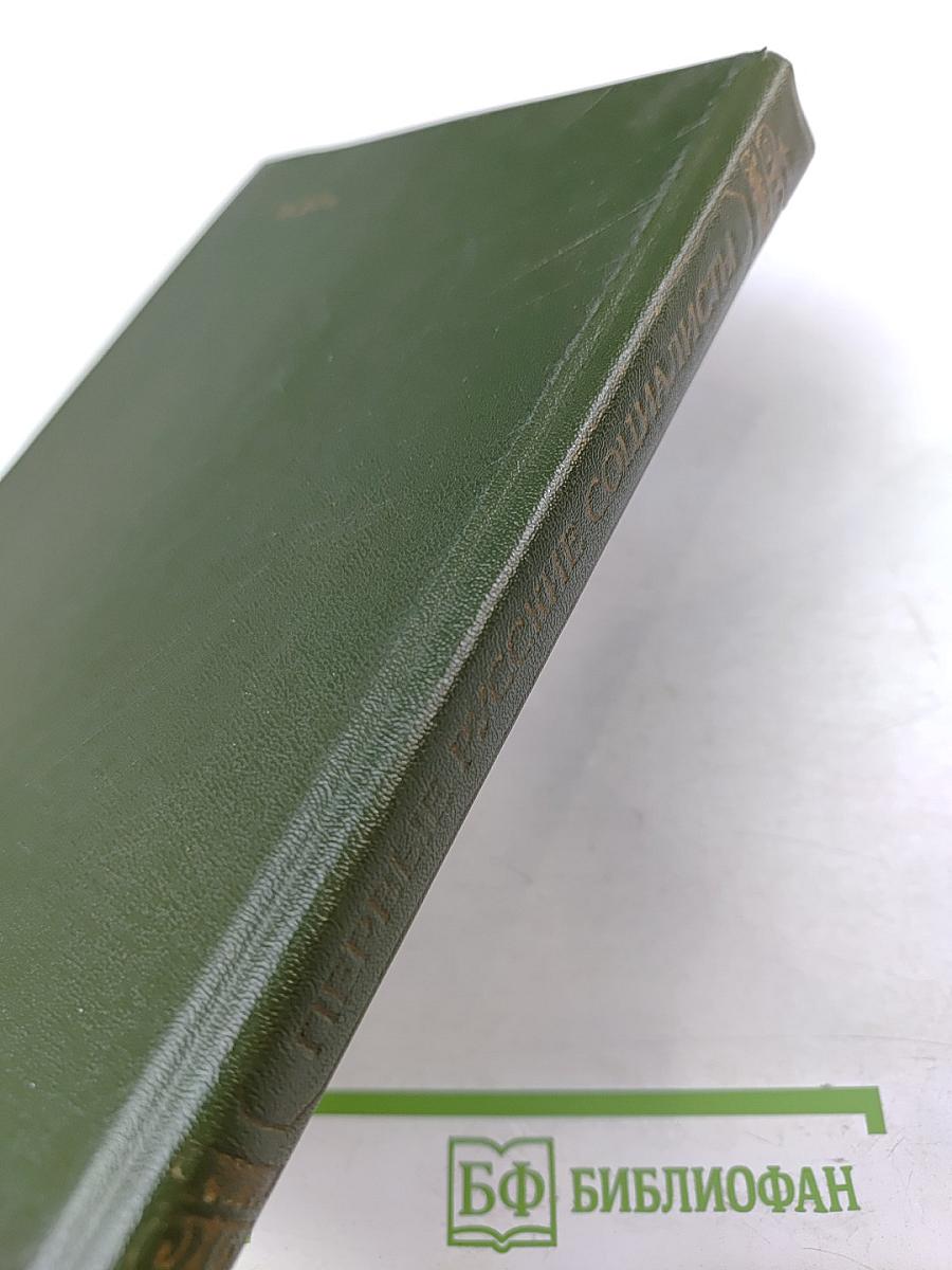 Первые русские социалисты