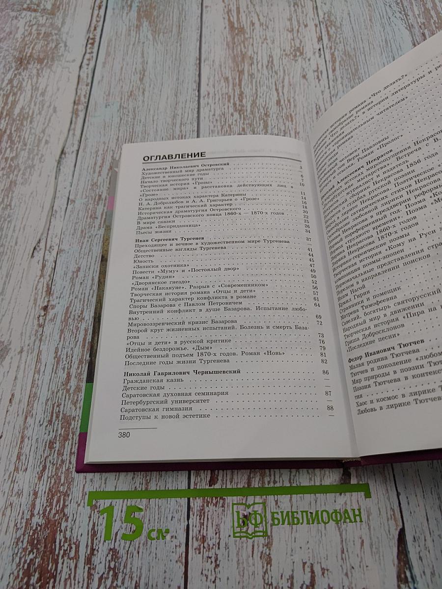 Литература. 10 класс. Часть 2