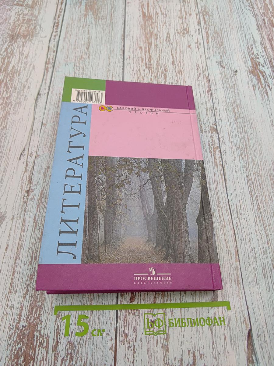 Литература. 10 класс. Часть 2