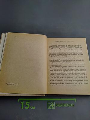 Петр Первый на Севере