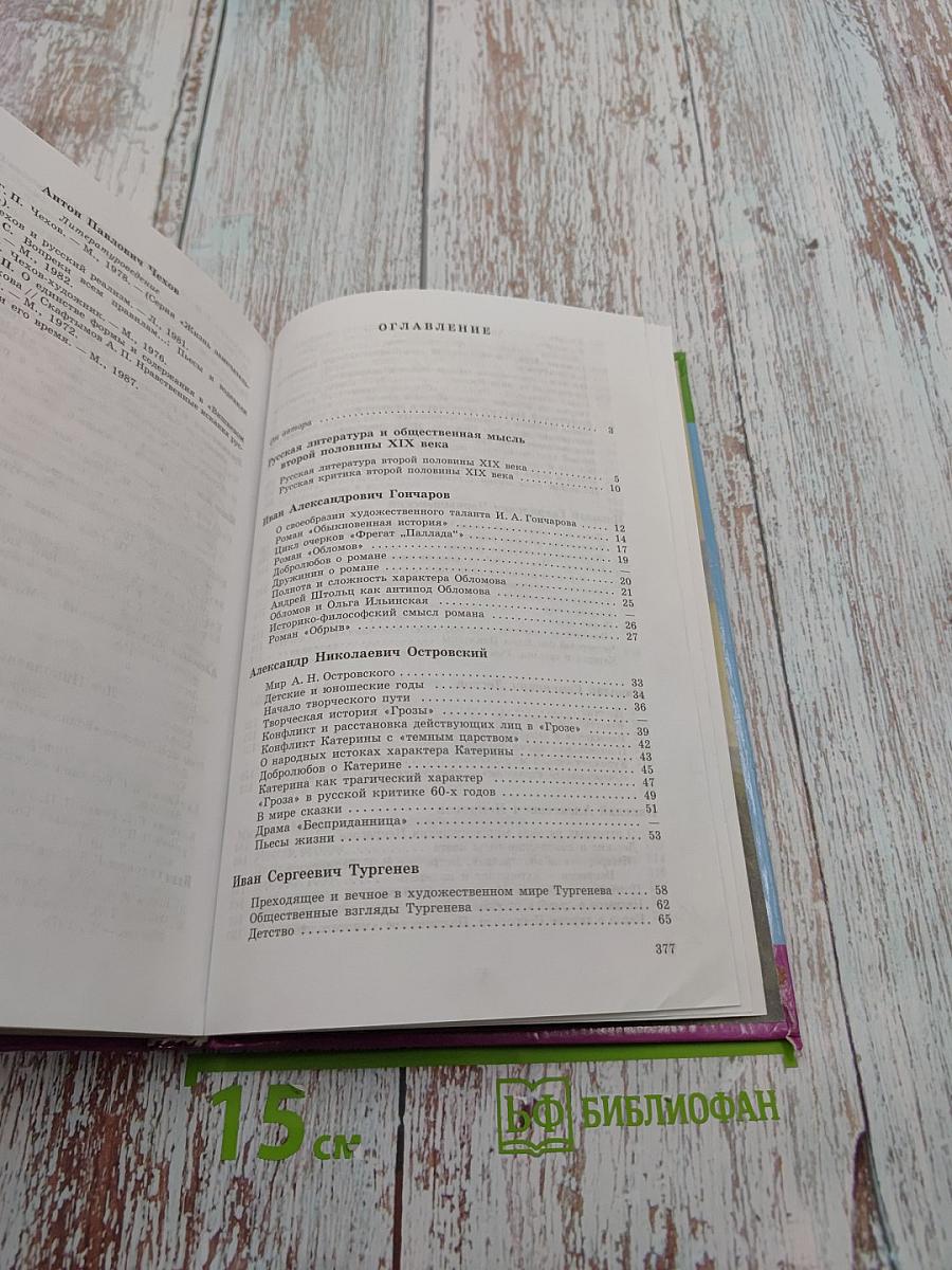 Литература. Русская литература XIX века. 10 класс. Часть вторая