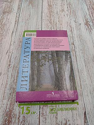 Литература. Русская литература XIX века. 10 класс. Часть вторая