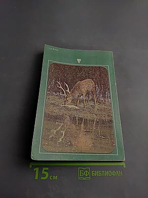 Охотничьи просторы 44