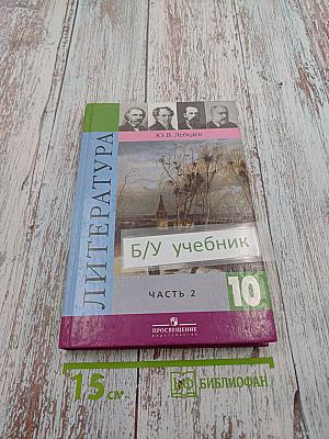 Литература 10 класс, Часть 2