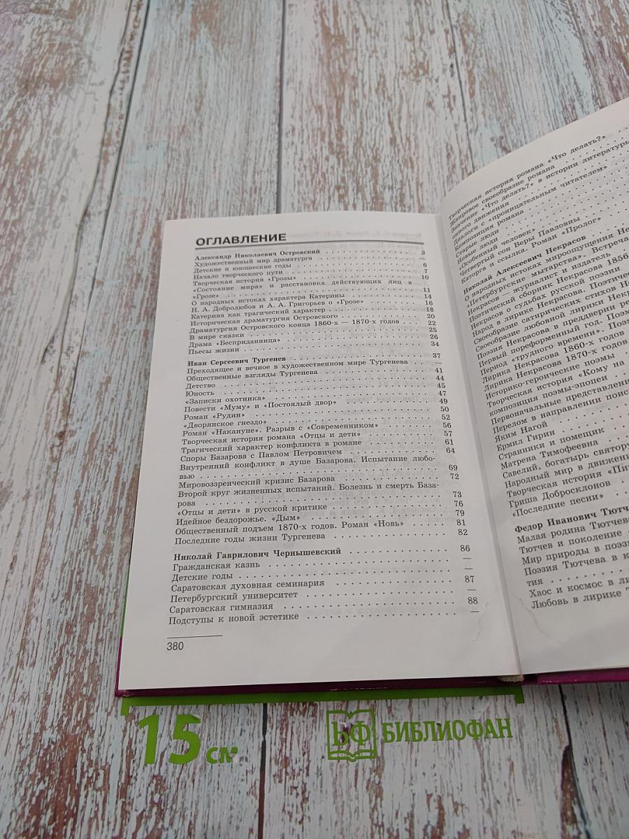 Литература 10 класс, Часть 2