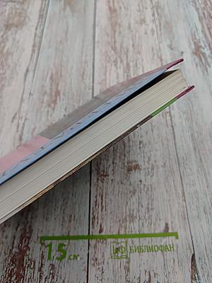 Литература 10 класс, Часть 2