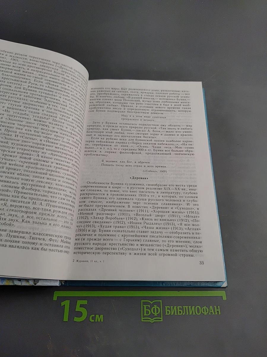 Русская литература XX века. 11 класс. Часть 1