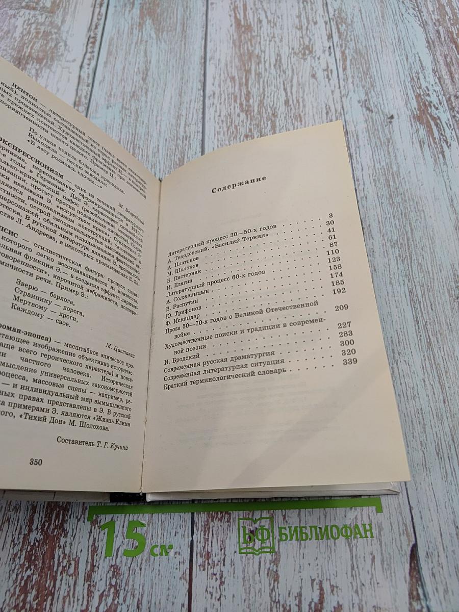 Русская литература XX века. 11 класс. Часть 2