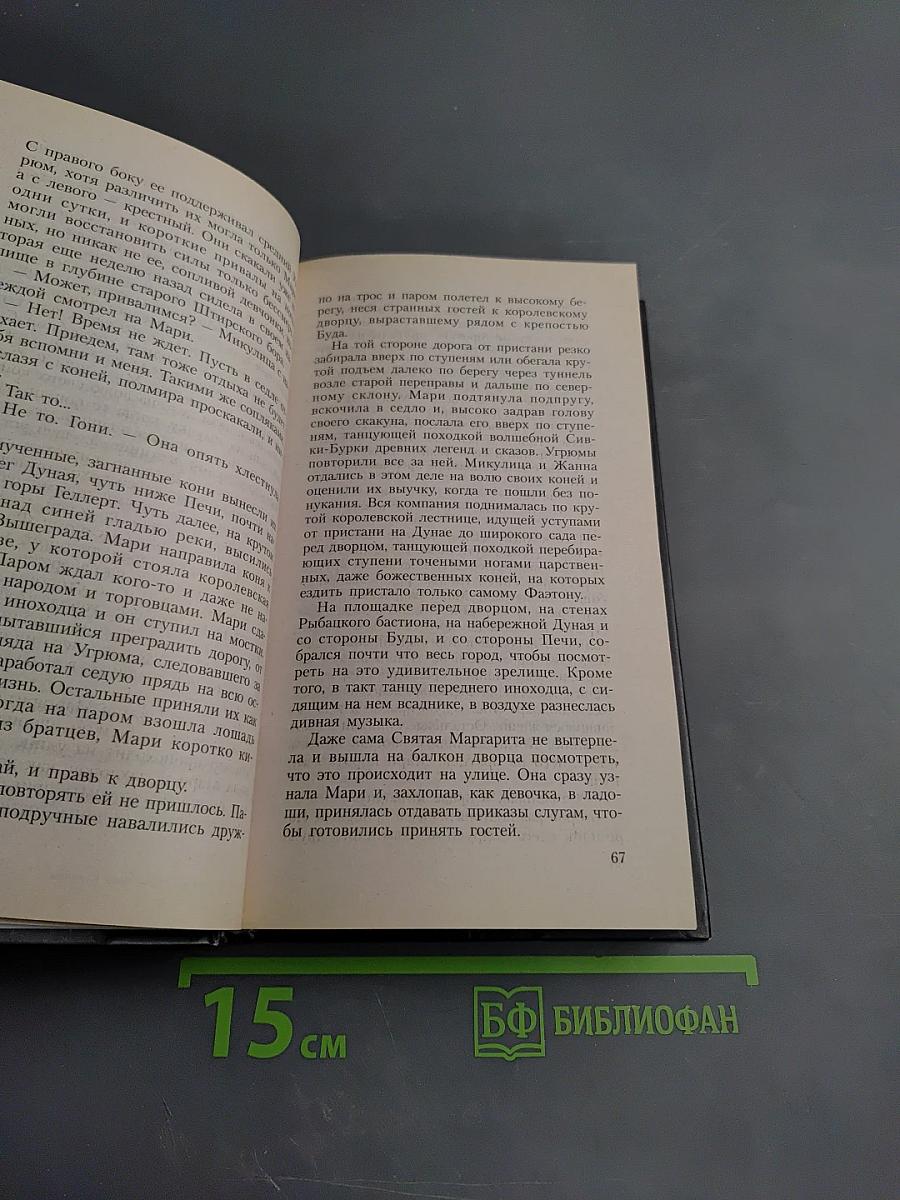 Тайны поля Куликова