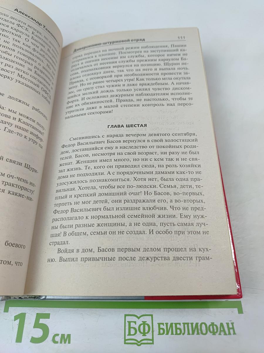 Диверсионно-штурмовой отряд