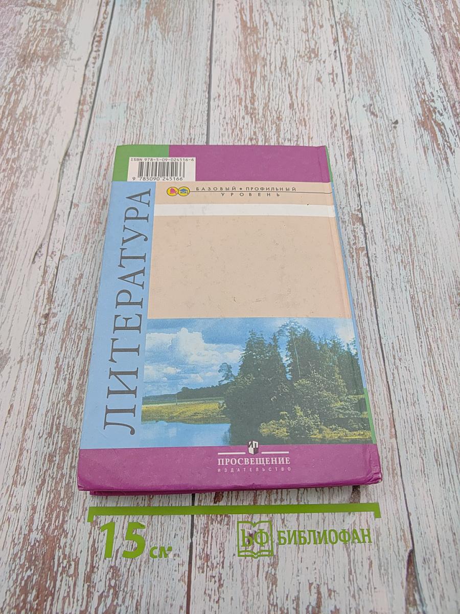 Литература 10 класс, Часть 1