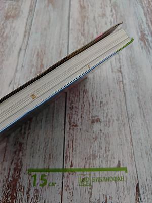 Литература. 10 класс. Часть 2