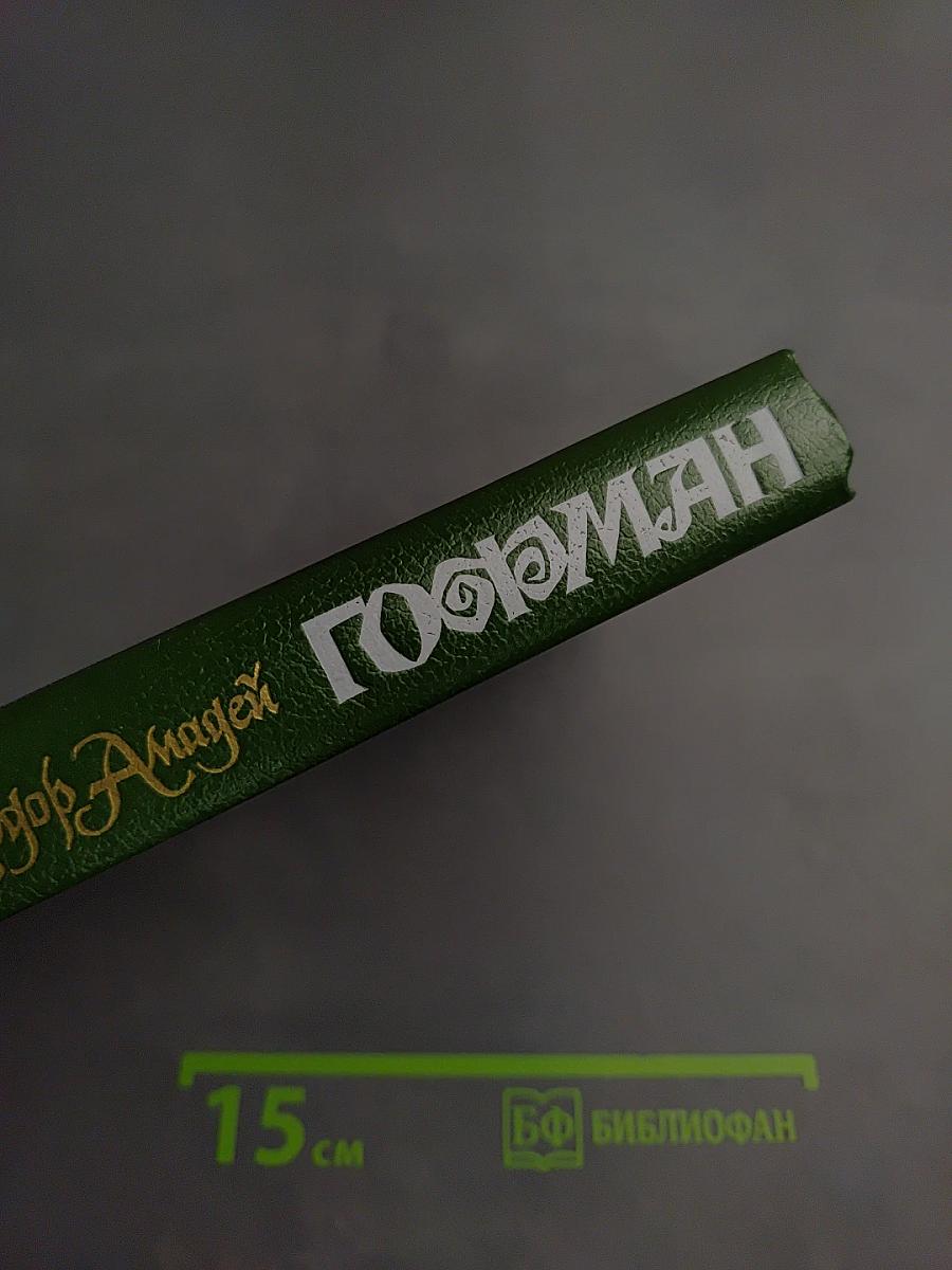 Собрание сочинений в шести томах. Том второй: Эликсиры дьявола. Ночные этюды. Часть первая