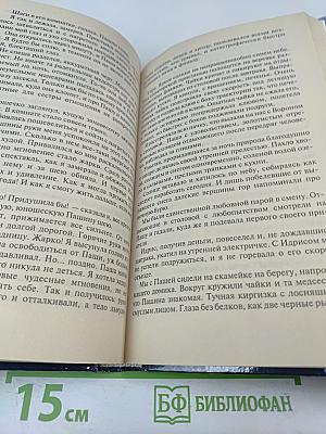 Конторская Крыса