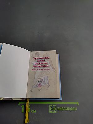 Чудотворные иконы Пресвятой Богородицы