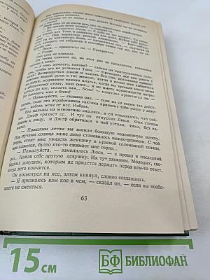 Люси Краун. Две недели в другом городе