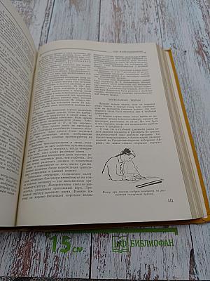 Детская энциклопедия. Том 3: Числа. Фигуры. Вещество и энергия