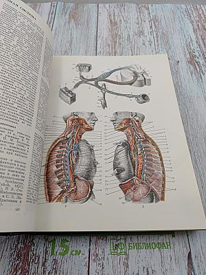 Большая медицинская энциклопедия. Том 4: Валин - Гамбия