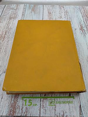 Детская энциклопедия. Том 7. Из истории человеческого общества