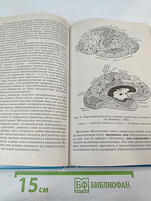 Основы нейропсихологии