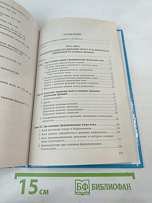 Основы нейропсихологии