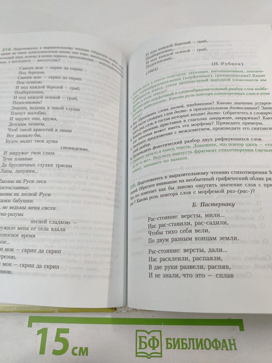 Русский язык. Учебник-практикум для старших классов