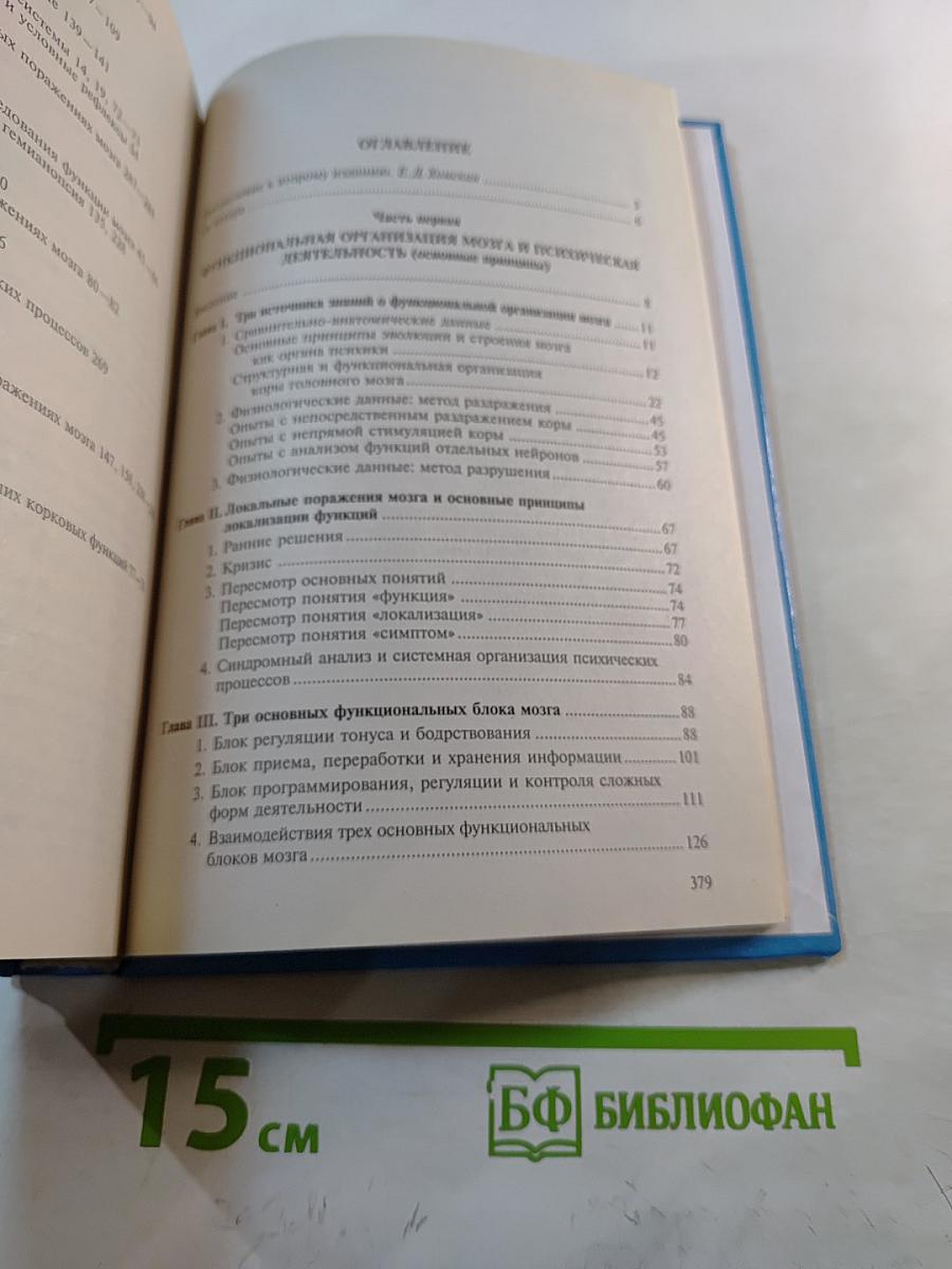Основы Нейропсихологии