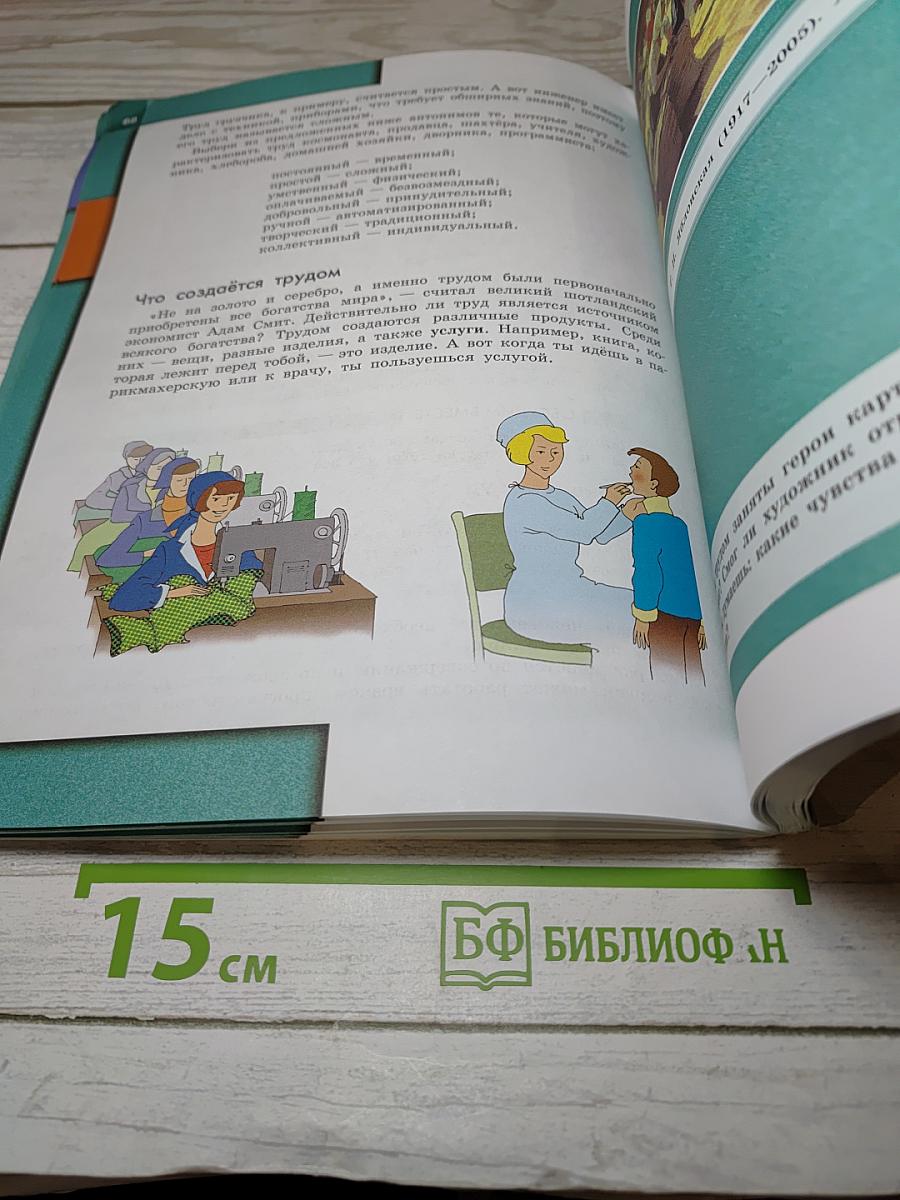 Обществознание 6 класс