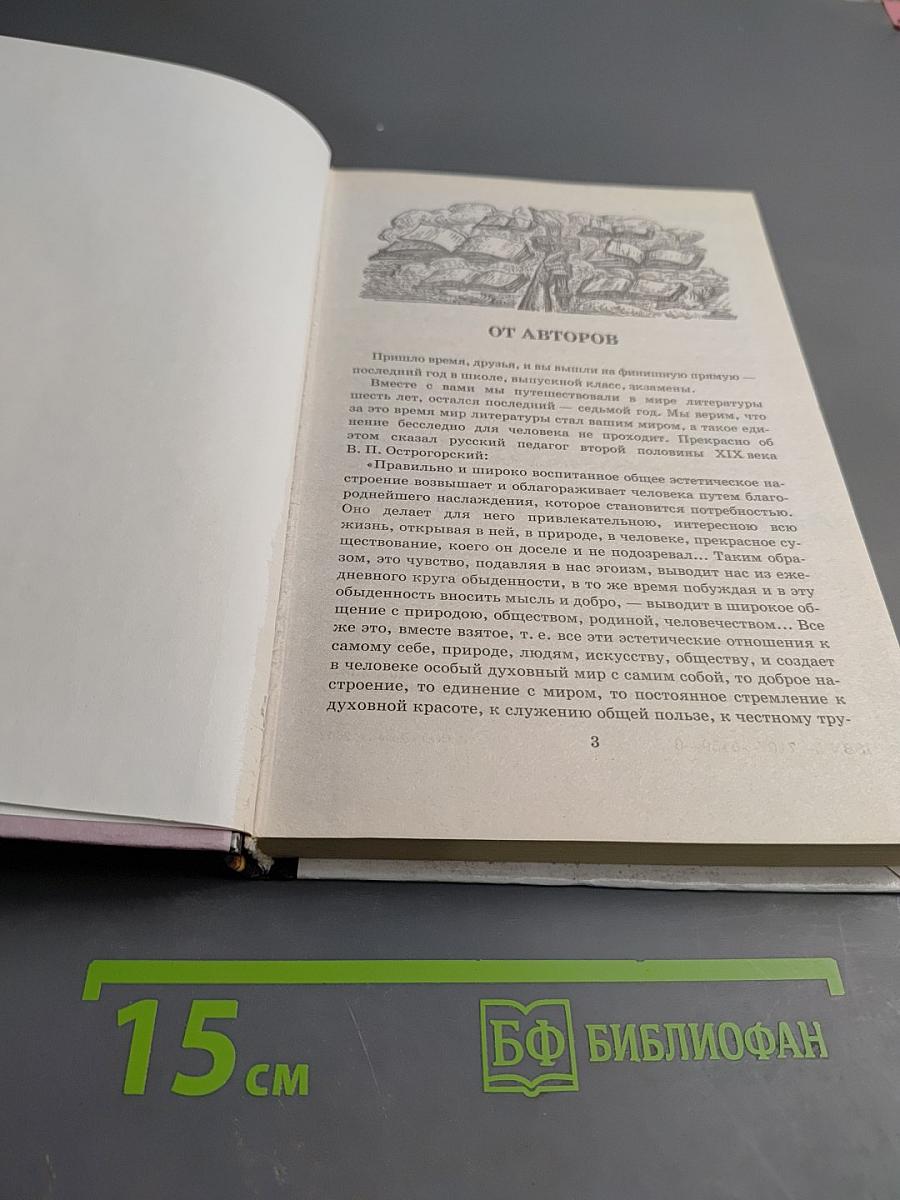 В мире литературы 11 класс