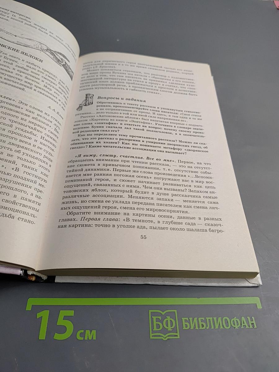 В мире литературы 11 класс