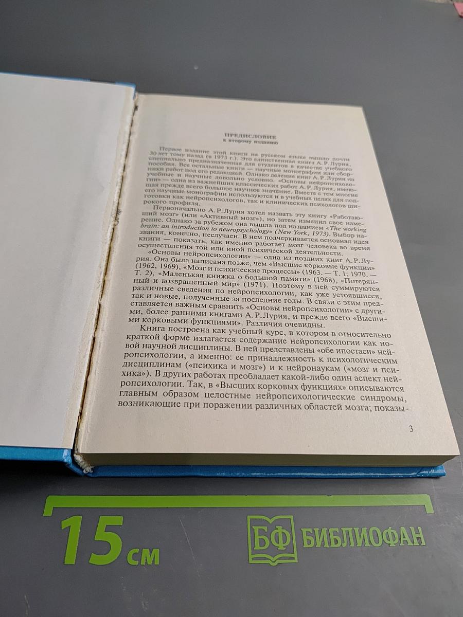 Основы нейропсихологии