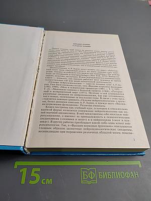 Основы нейропсихологии