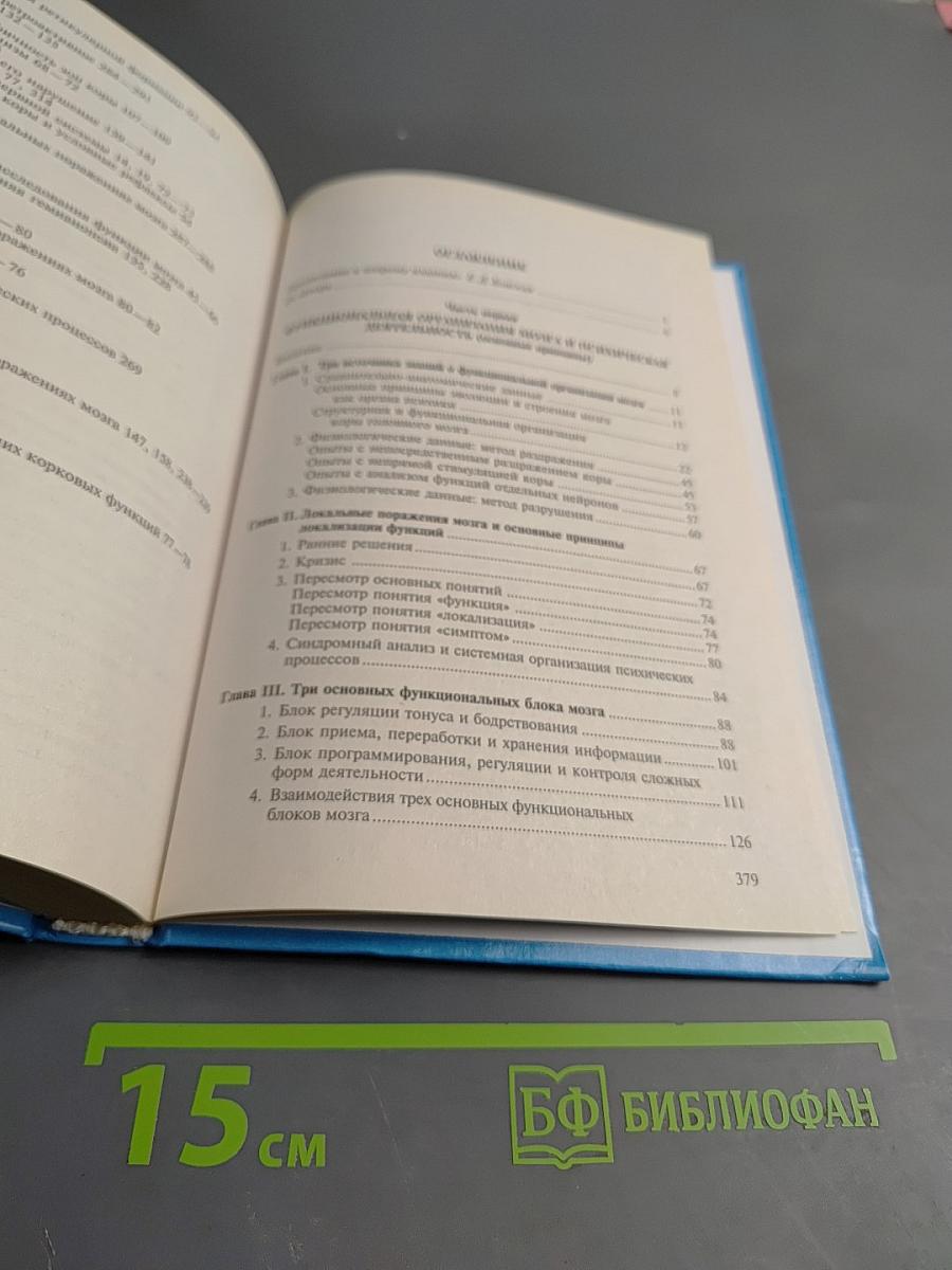 Основы нейропсихологии