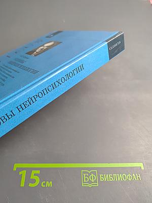 Основы нейропсихологии