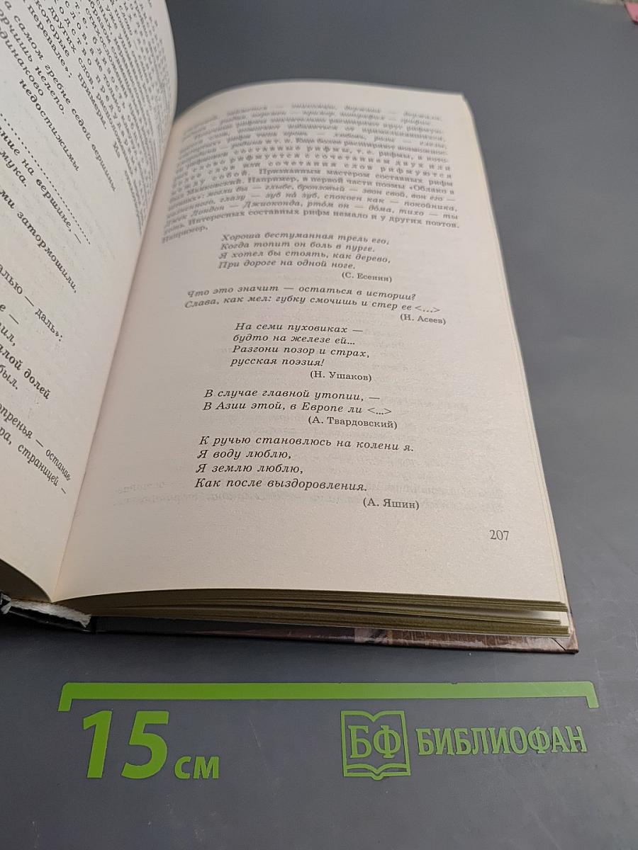 Русская словесность, 10-11 классы